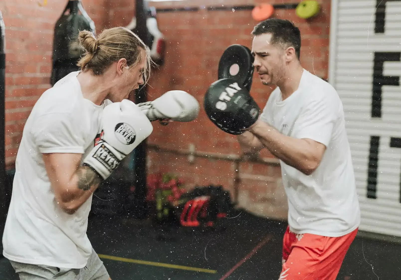 boxers in a gym